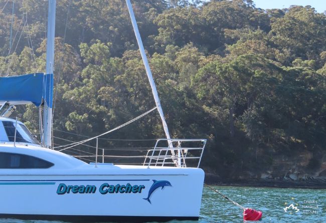 01   DREAM CATCHER 2025 